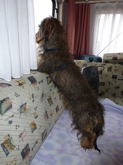 Filou