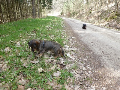 Filou und Nele