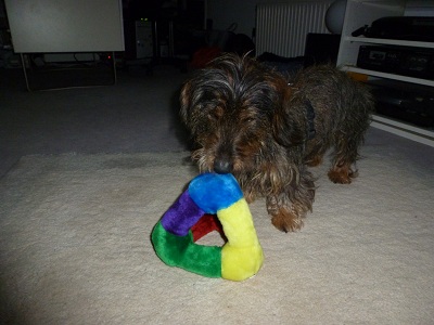 Filou
