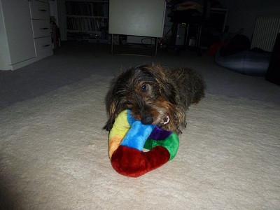 Filou